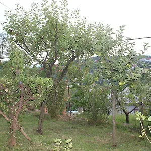  Apartment Tutnovo 13